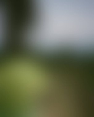 Abstract blur background of colors mixed 