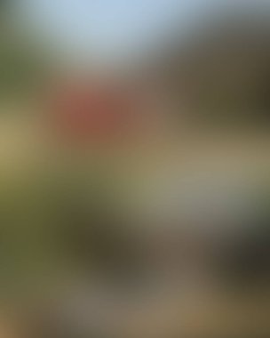 Abstract blur background of colors mixed 