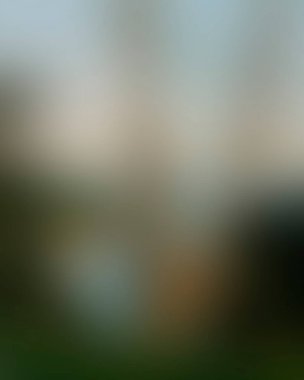 Abstract blur background of colors mixed 