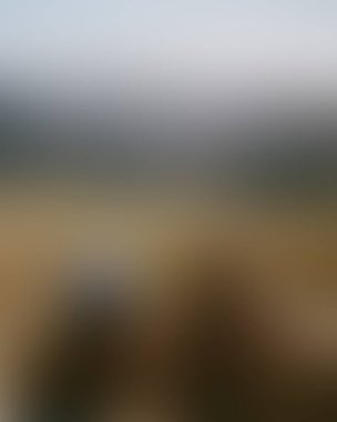 Abstract blur background of colors mixed 