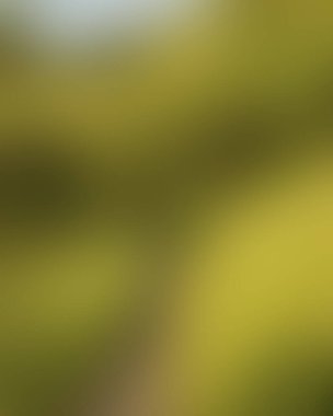 Abstract blur background of colors mixed 