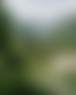 Abstract blur background of colors mixed 