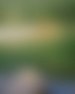 Abstract blur background of colors mixed 