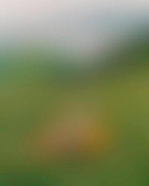 Abstract blur background of colors mixed 