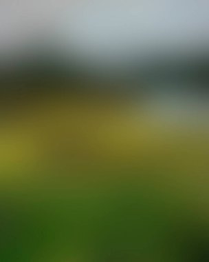 Abstract blur background of colors mixed 