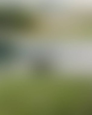 Abstract blur background of colors mixed 