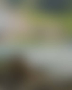 Abstract blur background of colors mixed 