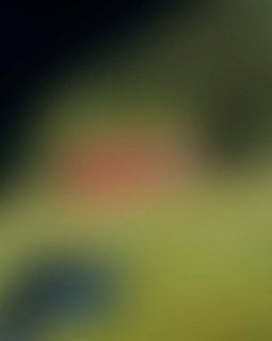 Abstract blur background of colors mixed 