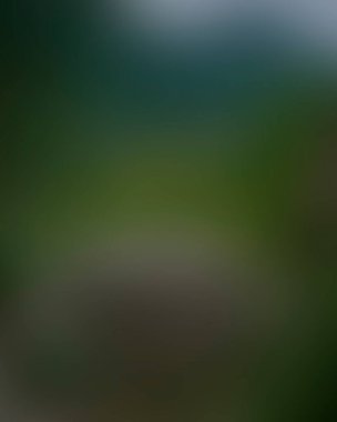 Abstract blur background of colors mixed 