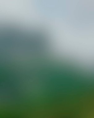 Abstract blur background of colors mixed 