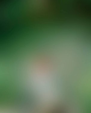 Abstract blur background of colors mixed 