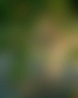 Abstract blur background of colors mixed 