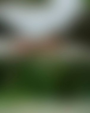 Abstract blur background of colors mixed 