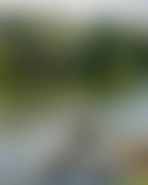 Abstract blur background of colors mixed 