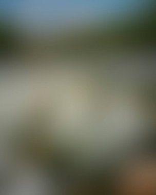 Abstract blur background of colors mixed 