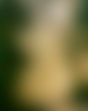 Abstract blur background of colors mixed 