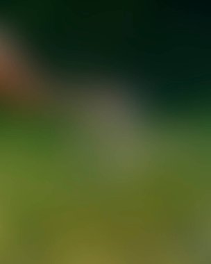 Abstract blur background of colors mixed 