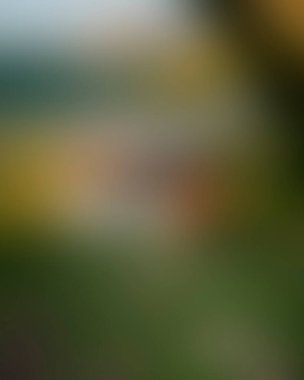 Abstract blur background of colors mixed 