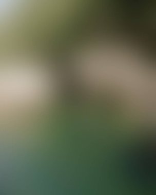 Abstract blur background of colors mixed 