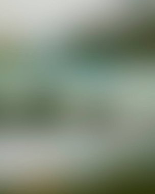 Abstract blur background of colors mixed 