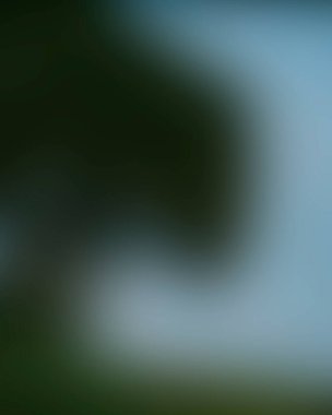 Abstract blur background of colors mixed 