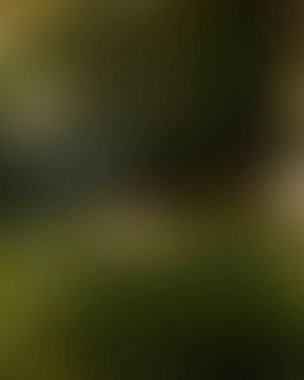 Abstract blur background of colors mixed 