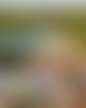 Abstract blur background of colors mixed 