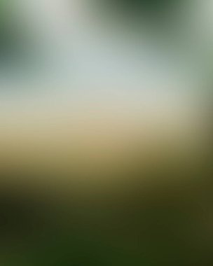 Abstract blur background of colors mixed 