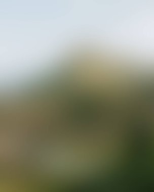 Abstract blur background of colors mixed 