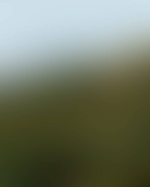 Abstract blur background of colors mixed 