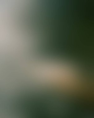 Abstract blur background of colors mixed 