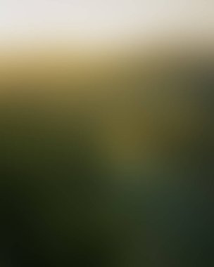 Abstract blur background of colors mixed 