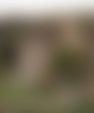 Abstract blur background of colors mixed 