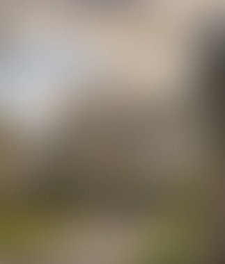 Abstract blur background of colors mixed 