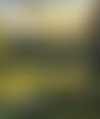 Abstract blur background of colors mixed 