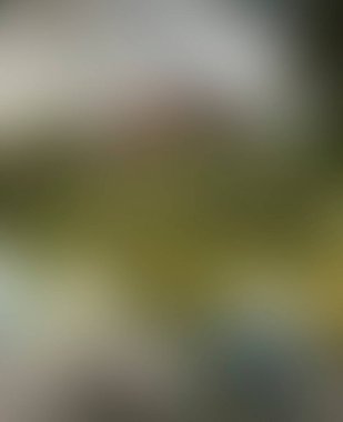 Abstract blur background of colors mixed 