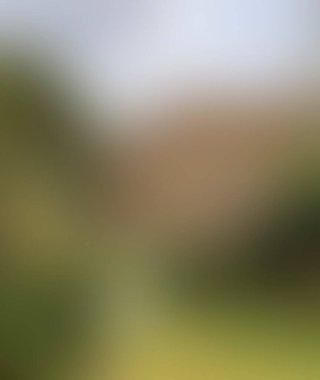 Abstract blur background of colors mixed 