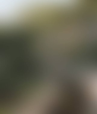 Abstract blur background of colors mixed 