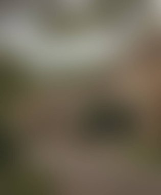 Abstract blur background of colors mixed 