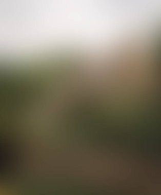 Abstract blur background of colors mixed 