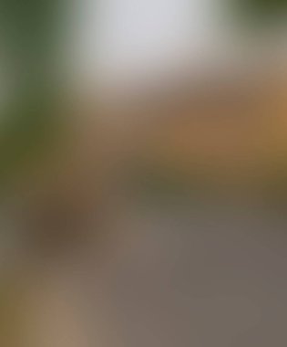 Abstract blur background of colors mixed 