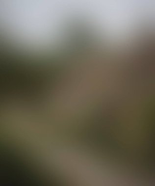 Abstract blur background of colors mixed 