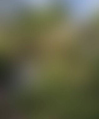 Abstract blur background of colors mixed 