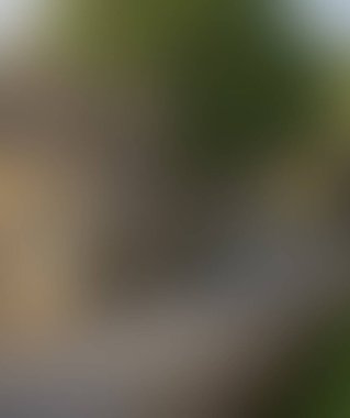 Abstract blur background of colors mixed 