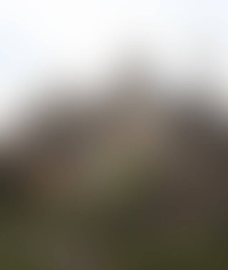 Abstract blur background of colors mixed 