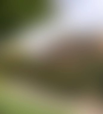 Abstract blur background of colors mixed 