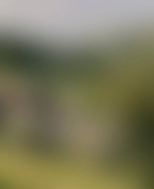 Abstract blur background of colors mixed 