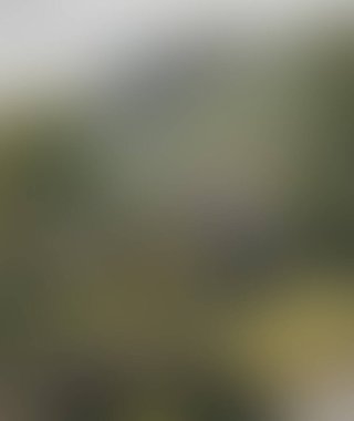 Abstract blur background of colors mixed 