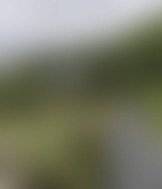 Abstract blur background of colors mixed 