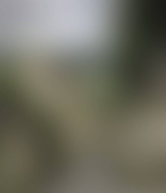 Abstract blur background of colors mixed 